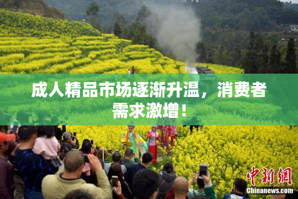 成人精品市场逐渐升温，消费者需求激增！