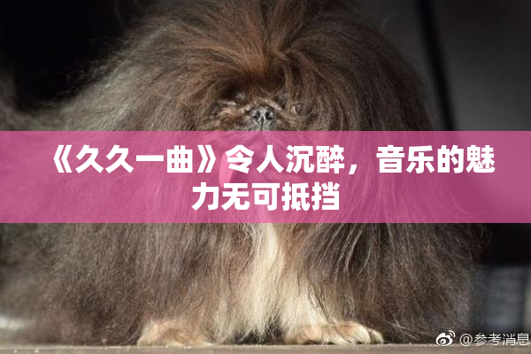 《久久一曲》令人沉醉，音乐的魅力无可抵挡