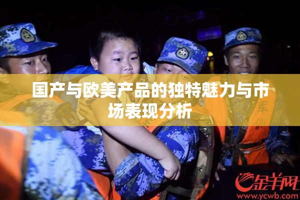 国产与欧美产品的独特魅力与市场表现分析