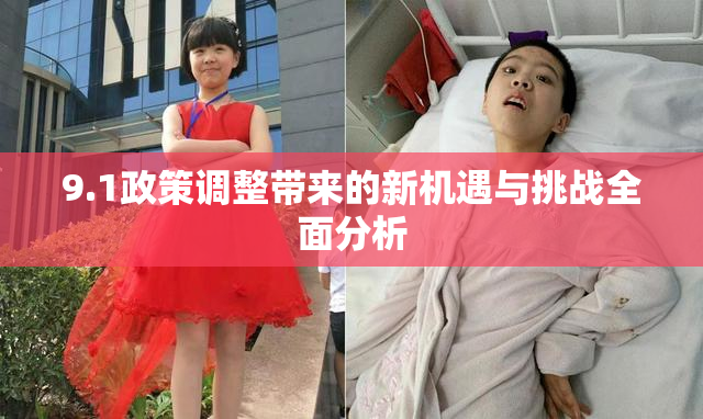 9.1政策调整带来的新机遇与挑战全面分析