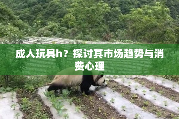 成人玩具h？探讨其市场趋势与消费心理