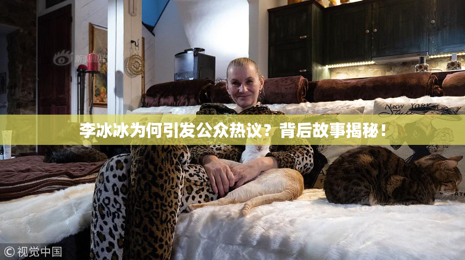 李冰冰为何引发公众热议？背后故事揭秘！