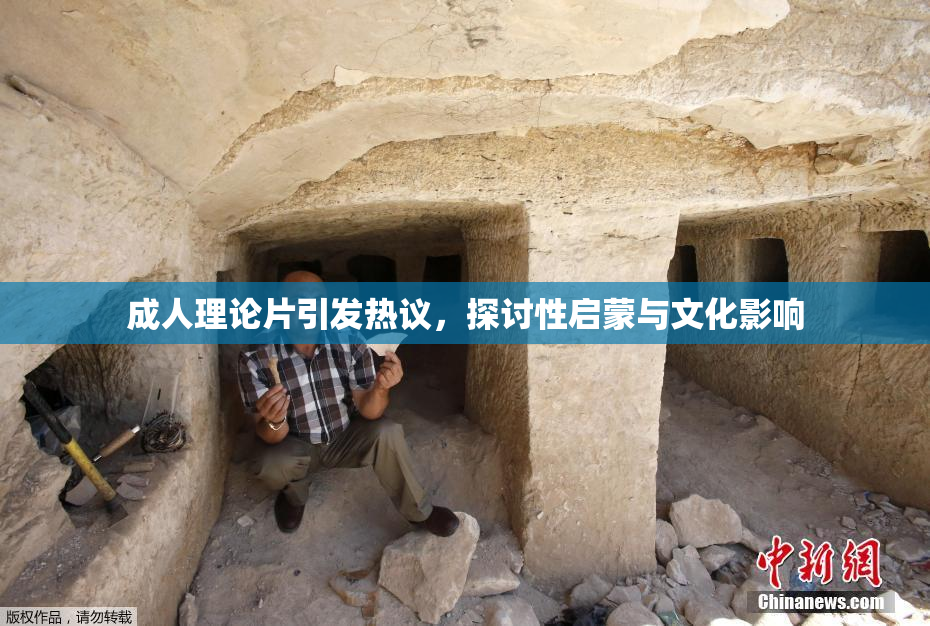 成人理论片引发热议，探讨性启蒙与文化影响