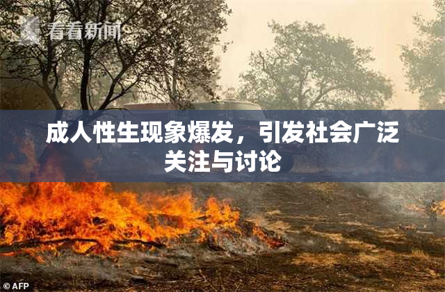 成人性生现象爆发，引发社会广泛关注与讨论