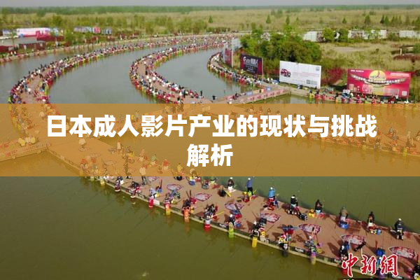 日本成人影片产业的现状与挑战解析