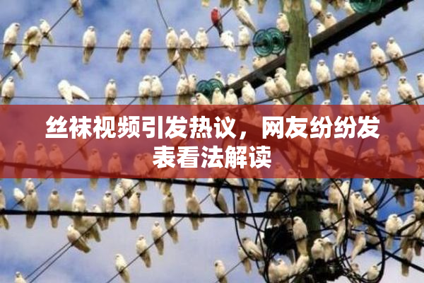 丝袜视频引发热议，网友纷纷发表看法解读