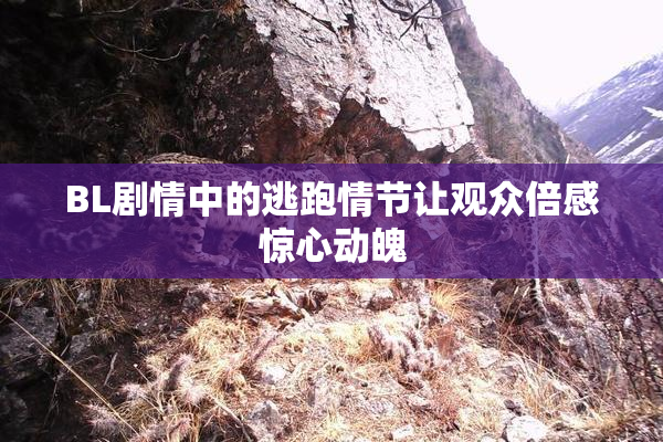 BL剧情中的逃跑情节让观众倍感惊心动魄