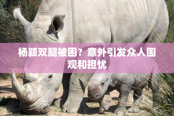 杨颖双腿被困？意外引发众人围观和担忧