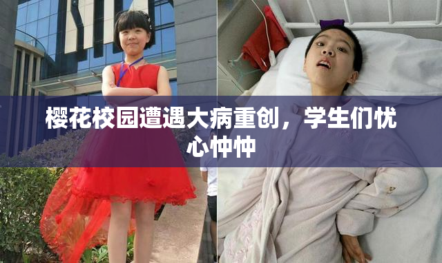 樱花校园遭遇大病重创，学生们忧心忡忡