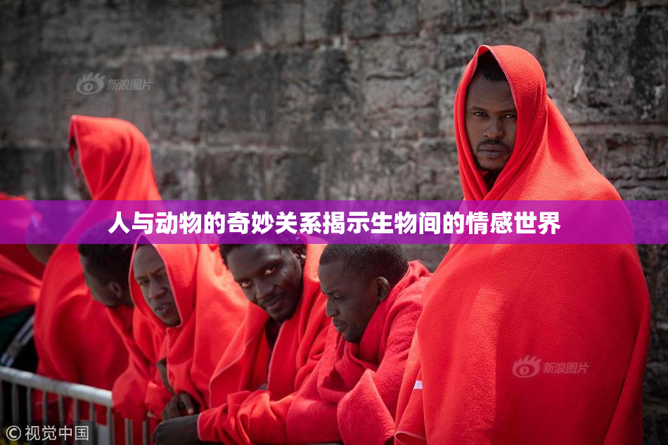 人与动物的奇妙关系揭示生物间的情感世界