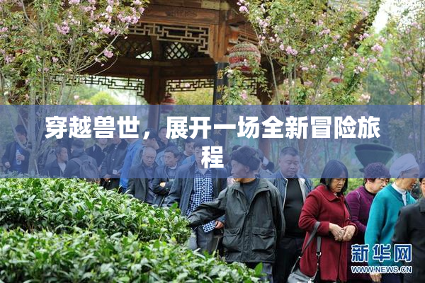 穿越兽世，展开一场全新冒险旅程