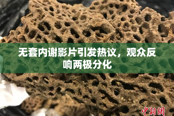 无套内谢影片引发热议，观众反响两极分化