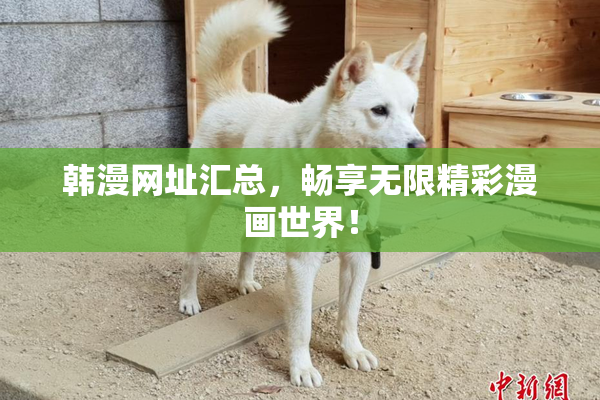 韩漫网址汇总，畅享无限精彩漫画世界！
