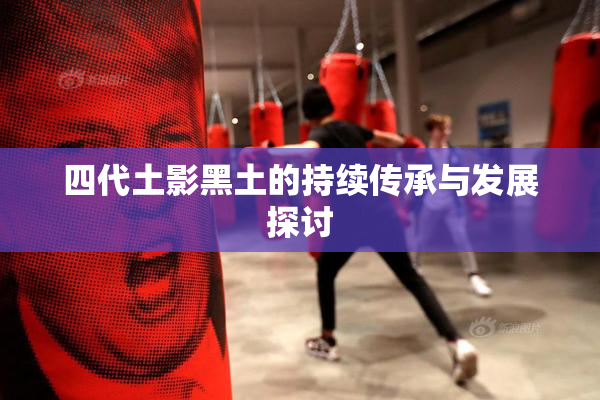 四代土影黑土的持续传承与发展探讨