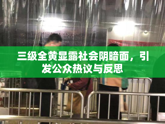 三级全黄显露社会阴暗面，引发公众热议与反思