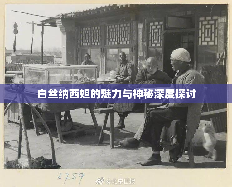 白丝纳西妲的魅力与神秘深度探讨