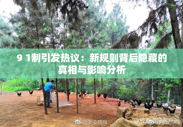 9 1制引发热议：新规则背后隐藏的真相与影响分析