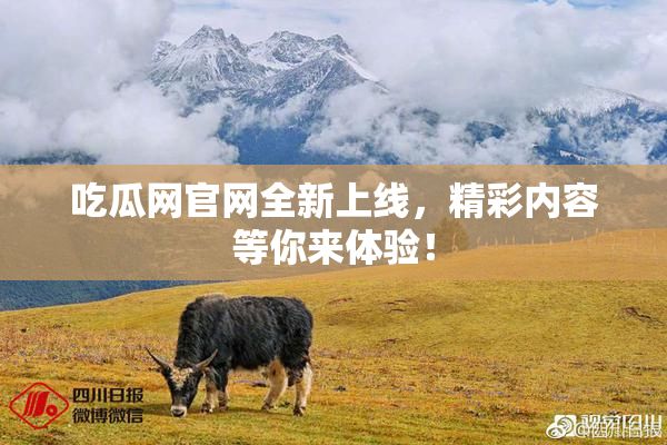 吃瓜网官网全新上线，精彩内容等你来体验！