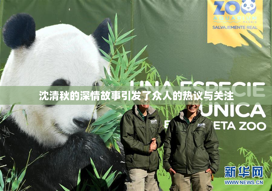 沈清秋的深情故事引发了众人的热议与关注