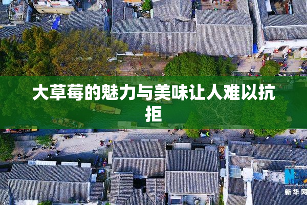 大草莓的魅力与美味让人难以抗拒
