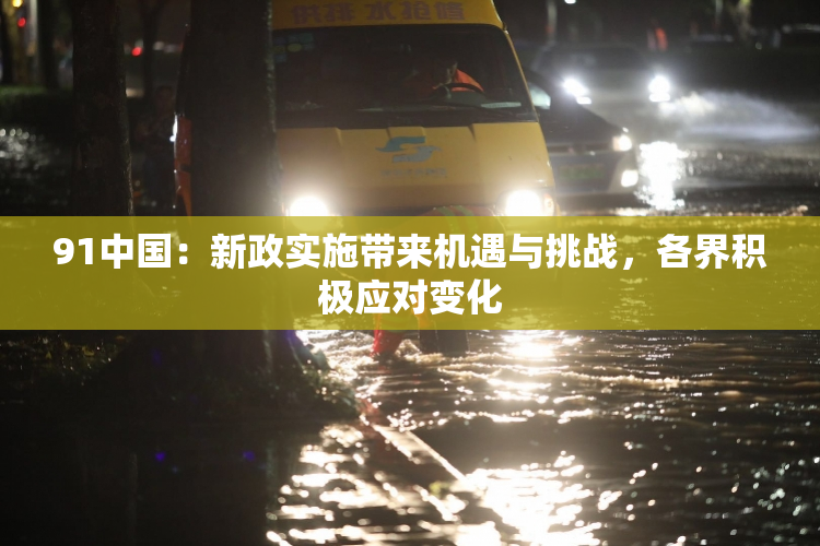 91中国：新政实施带来机遇与挑战，各界积极应对变化