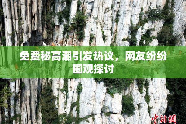 免费秘高潮引发热议，网友纷纷围观探讨
