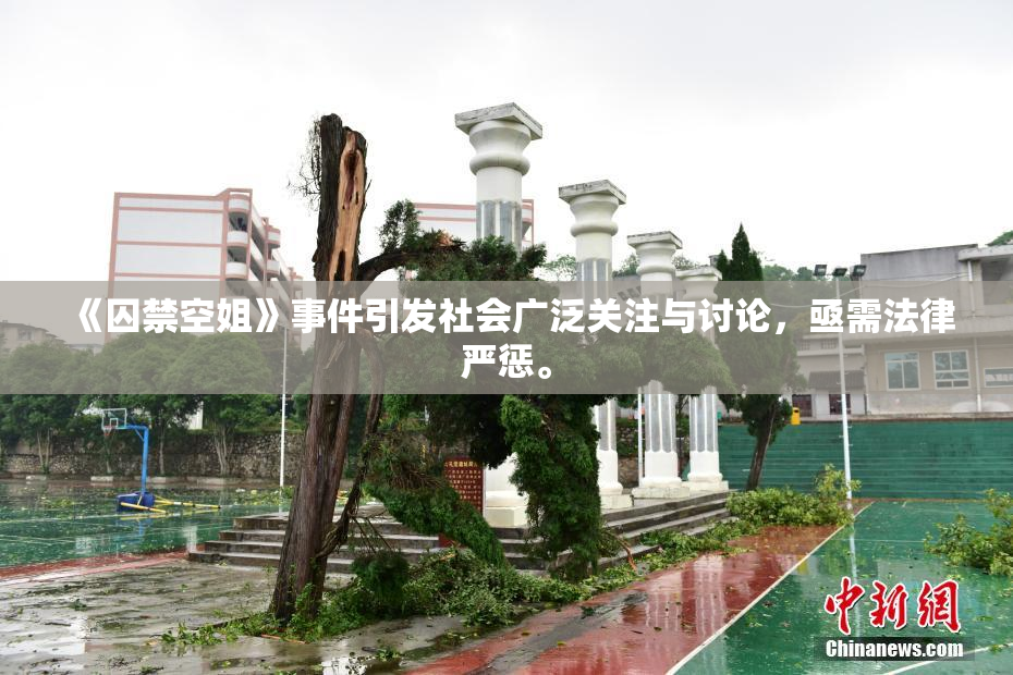 《囚禁空姐》事件引发社会广泛关注与讨论，亟需法律严惩。