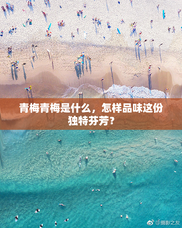 青梅青梅是什么，怎样品味这份独特芬芳？