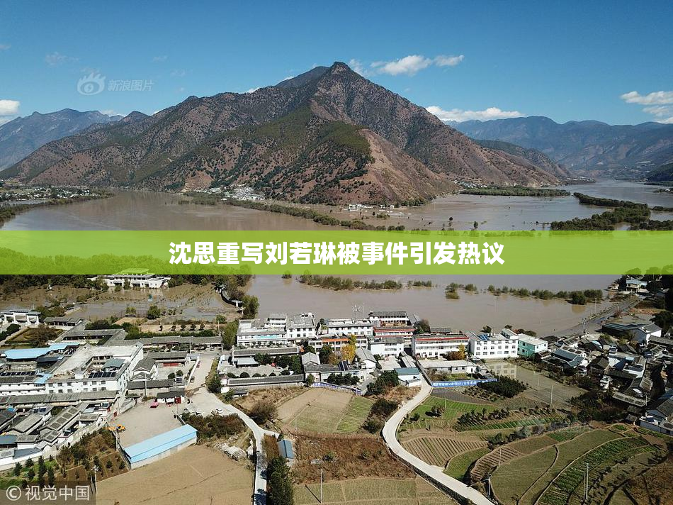 沈思重写刘若琳被事件引发热议