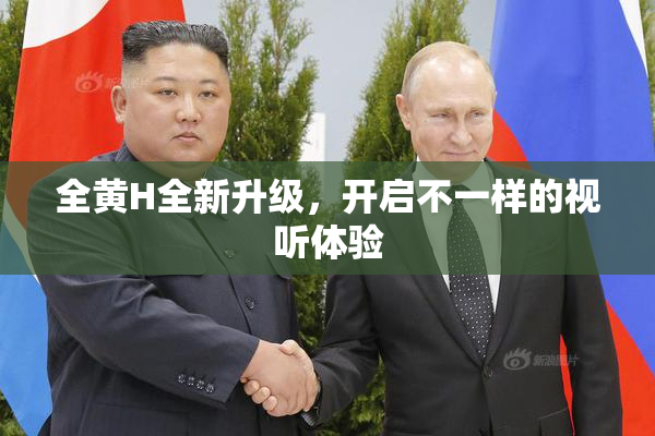 全黄H全新升级，开启不一样的视听体验