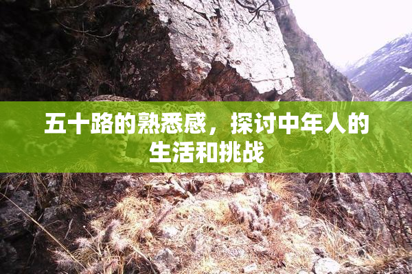 五十路的熟悉感，探讨中年人的生活和挑战