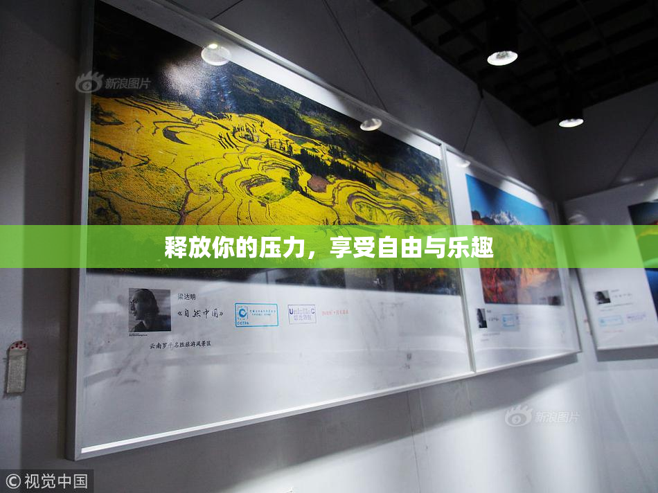 释放你的压力，享受自由与乐趣