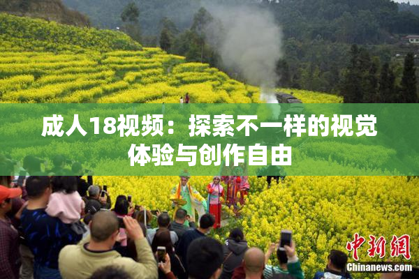 成人18视频：探索不一样的视觉体验与创作自由