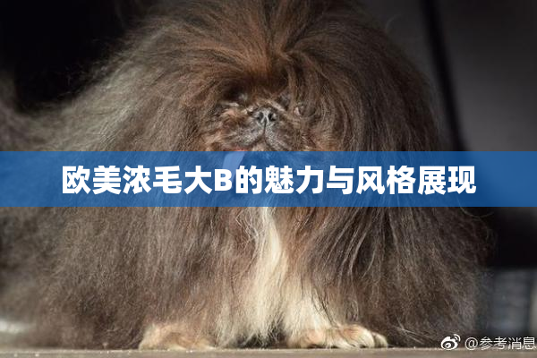 欧美浓毛大B的魅力与风格展现
