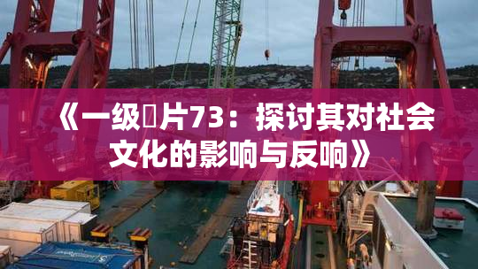 《一级婬片73：探讨其对社会文化的影响与反响》