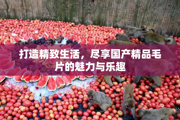 打造精致生活，尽享国产精品毛片的魅力与乐趣