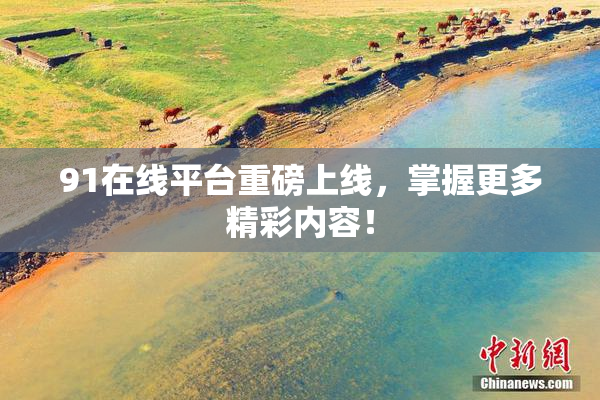 91在线平台重磅上线，掌握更多精彩内容！