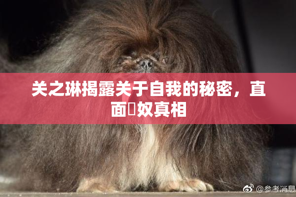 关之琳揭露关于自我的秘密，直面婬奴真相