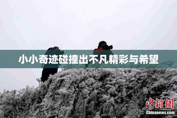 小小奇迹碰撞出不凡精彩与希望