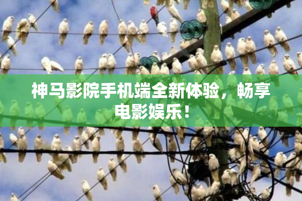 神马影院手机端全新体验，畅享电影娱乐！