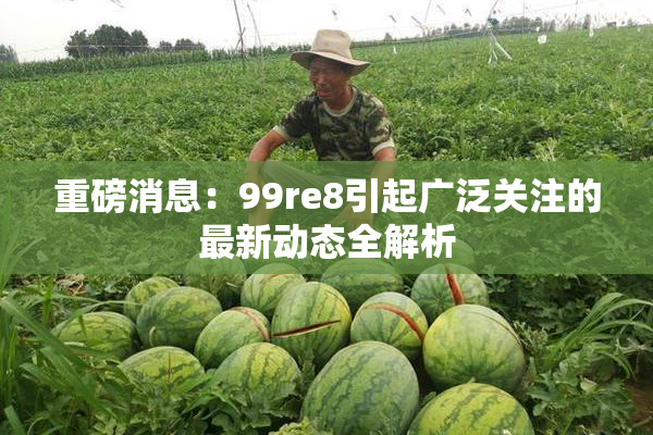 重磅消息：99re8引起广泛关注的最新动态全解析
