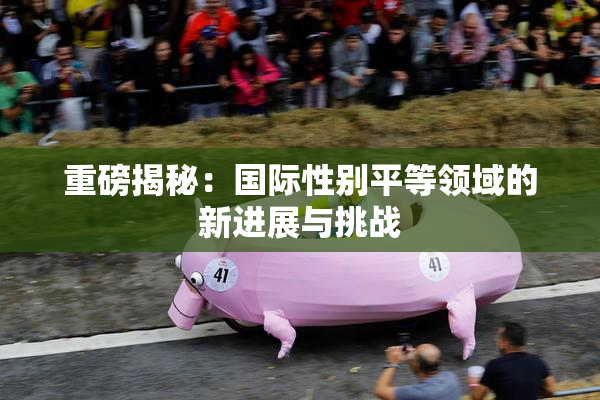 重磅揭秘：国际性别平等领域的新进展与挑战