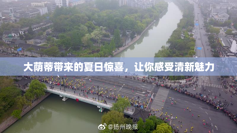 大荫蒂带来的夏日惊喜，让你感受清新魅力