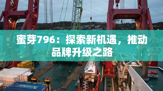 蜜芽796：探索新机遇，推动品牌升级之路