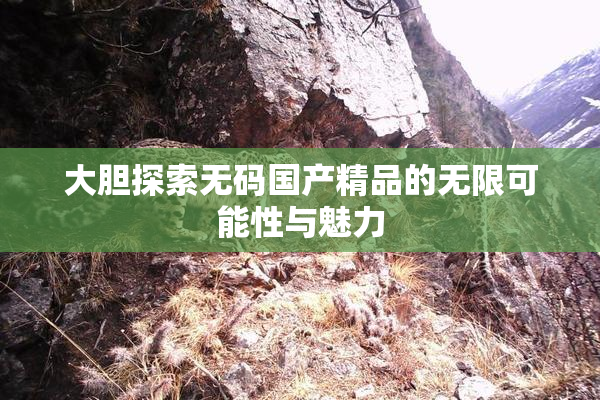 大胆探索无码国产精品的无限可能性与魅力