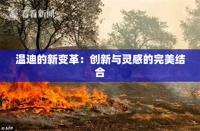 温迪的新变革：创新与灵感的完美结合