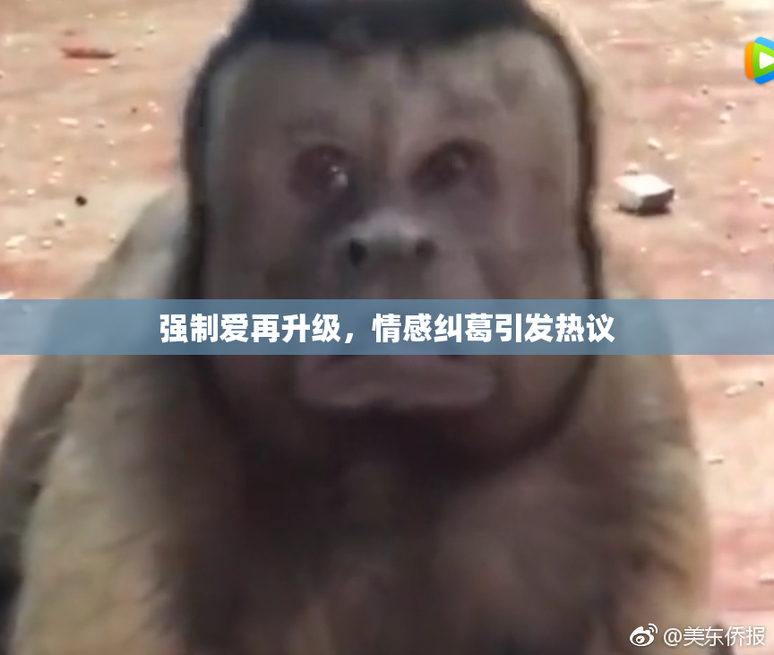 强制爱再升级，情感纠葛引发热议