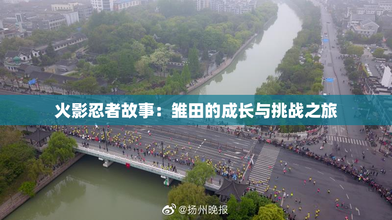 火影忍者故事：雏田的成长与挑战之旅