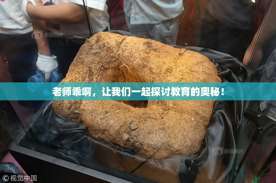 老师乖啊，让我们一起探讨教育的奥秘！