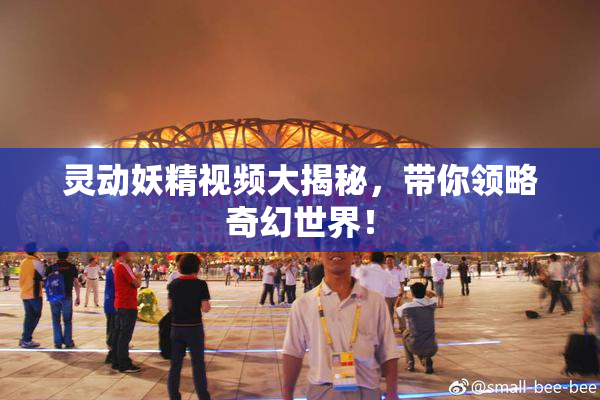 灵动妖精视频大揭秘，带你领略奇幻世界！